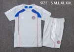 Bayern Munich 25/26 Short Sleeve Retro Edition Grey (Colorful Blue) - 图片 2