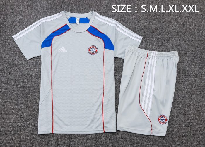 Bayern Munich 25/26 Short Sleeve Retro Edition Grey (Colorful Blue) - 图片 2