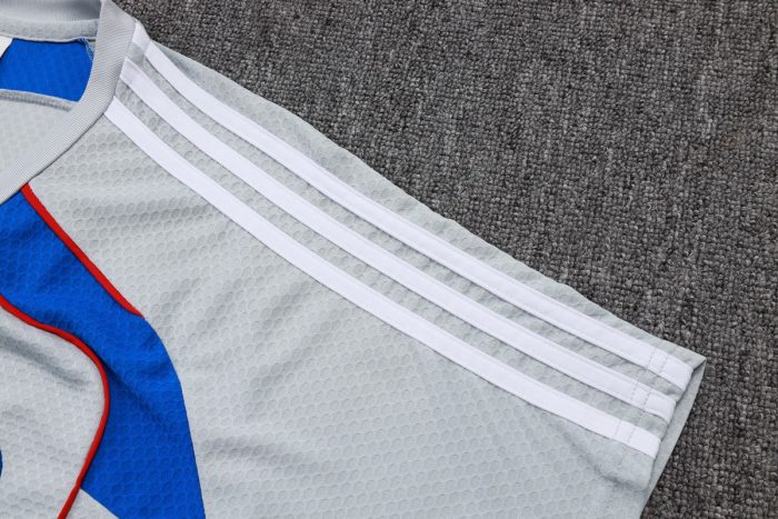 Bayern Munich 25/26 Short Sleeve Retro Edition Grey (Colorful Blue) - 图片 6