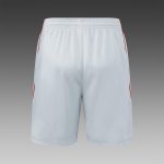 Bayern Munich 25/26 Short Sleeve Retro Edition Grey (Colorful Blue) - 图片 7