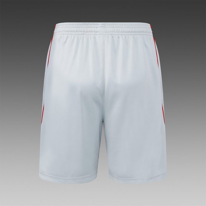 Bayern Munich 25/26 Short Sleeve Retro Edition Grey (Colorful Blue) - 图片 7