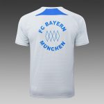 Bayern Munich 25/26 Short Sleeve Retro Edition Grey (Colorful Blue) - 图片 8