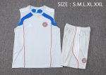 Bayern Munich Retro Vest Grey Colorway - 图片 2