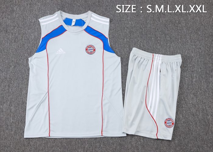 Bayern Munich Retro Vest Grey Colorway - 图片 2