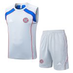 Bayern Munich Retro Vest Grey Colorway - 图片 8