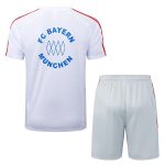 Bayern Munich 2526 Retro Short Sleeve T-Shirt White with Blue Trim - 图片 7