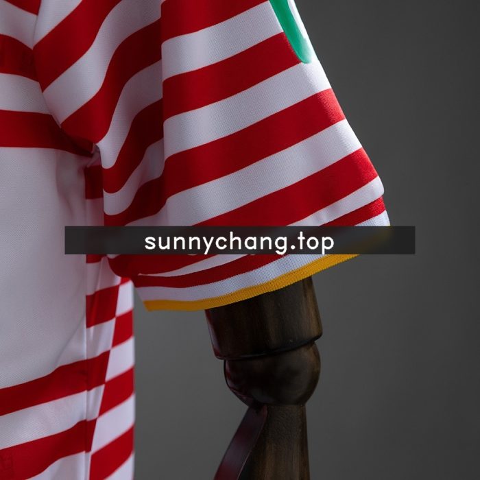 Köln 25/26 Carnival Jersey - 图片 5