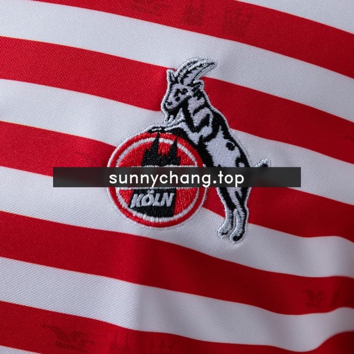 Köln 25/26 Carnival Jersey - 图片 7