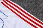 Bayern Munich 25/26 Half-Zip Retro Edition White with Blue Trim - 图片 5