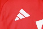 Bayern Munich 24/25 Half-Zip Jacket Red with Yellow Collar - 图片 6
