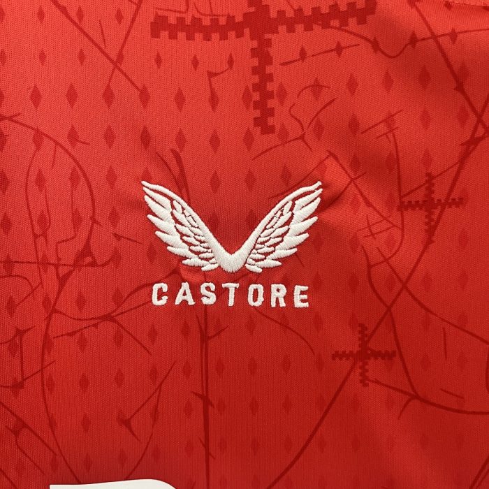 Bayer Leverkusen 2024/25 Home Jersey - 图片 5