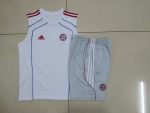 Bayern Munich 25/26 White Retro Vest (Color Trim) - 图片 9
