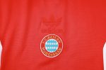 Bayern Munich 24/25 Half-Zip Jacket Red (Adidas Three Stripes) - 图片 7