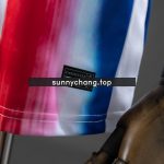 PSG 25/26 Champions League Pre-Match Jersey - 图片 4