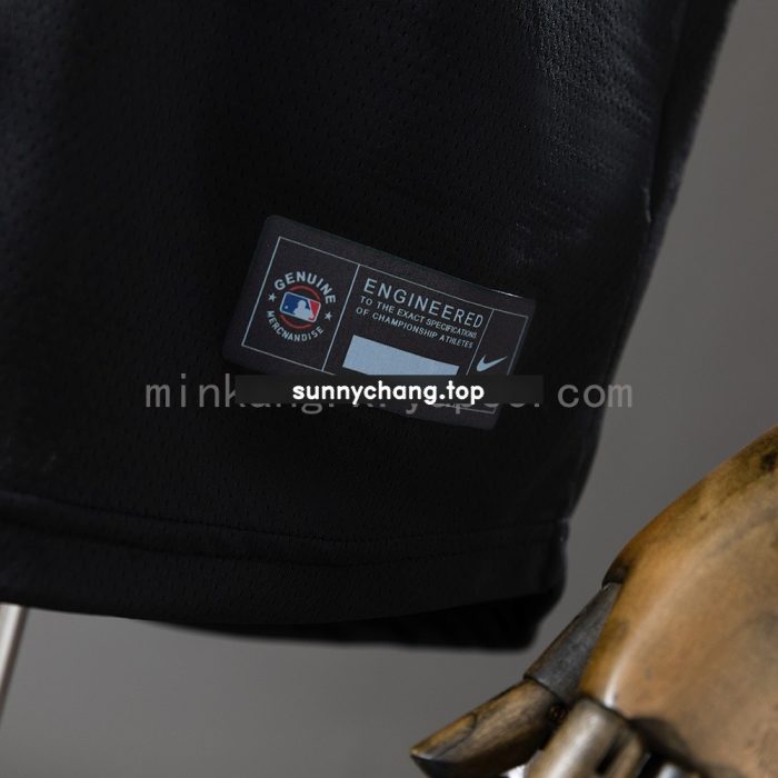 25/26 PSG Special Edition - 图片 2