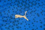 Olympique de Marseille 23-24 Blue Short Sleeve Training Suit - 图片 5