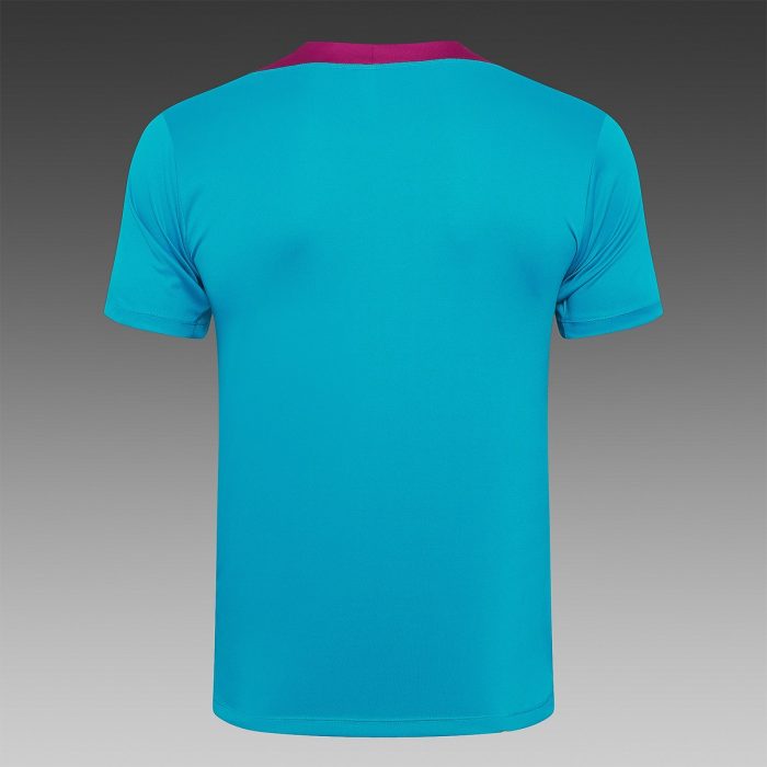 Paris Saint-Germain 24-25 Light Blue Short Sleeve Training Shirt - 图片 8
