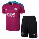 Paris Saint-Germain 24-25 Purple Red Short Sleeve Training Shirt - 图片 8