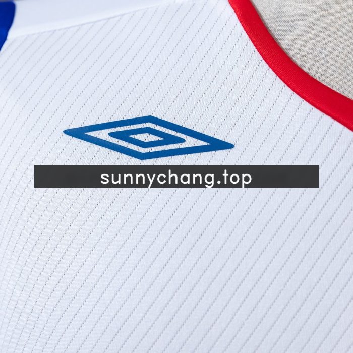 Olympique Lyonnais 2008/2009 Home Retro Jersey - 图片 6