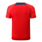 Nike Paris Saint-Germain 22-23 Red Short Sleeve Training Suit - 图片 7