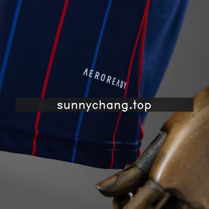 Olympique Lyonnais 25/26 Away Jersey - 图片 2