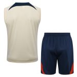 Paris PSG 23-24 Vest Apricot - 图片 7