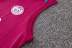 Paris Saint-Germain 24-25 Purple Red Vest - 图片 5