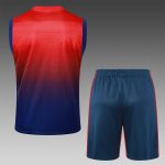 Paris Saint-Germain 24/25 Vest Red Blue Spray - 图片 2
