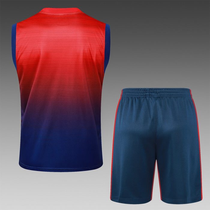 Paris Saint-Germain 24/25 Vest Red Blue Spray - 图片 2