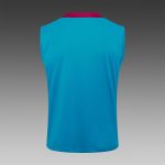 Paris Saint-Germain 24/25 Vest Lake Blue - 图片 7