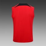 PSG 23/24 Jordan Red Vest - 图片 8