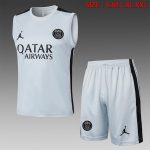 Paris PSG 23-24 Jordan Light Gray Vest