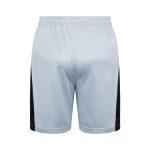 Paris PSG 23-24 Jordan Light Gray Vest - 图片 2