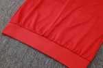 Paris Saint-Germain 24-25 Long Zipper Jacket Red - 图片 5