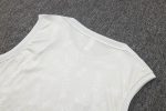 PSG 24/25 Jordan Vest Light Grey Spray - 图片 3