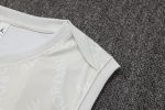 PSG 24/25 Jordan Vest Light Grey Spray - 图片 5