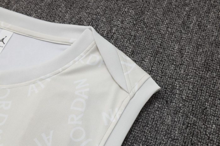PSG 24/25 Jordan Vest Light Grey Spray - 图片 5