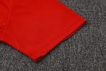 Paris Saint-Germain 24/25 Polo Shirt Red - 图片 4