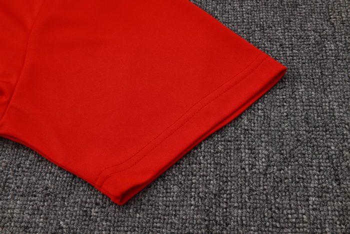 Paris Saint-Germain 24/25 Polo Shirt Red - 图片 4