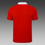 Paris Saint-Germain 24/25 Polo Shirt Red - 图片 7