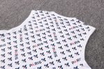 PSG 22/23 Jordan White Vest (Full Body Spray) - 图片 4
