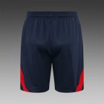 PSG 2022-2023 Jordan Blue Vest (Full Body Spray) - 图片 7