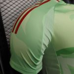 2025 Italy Players Training Jersey - 图片 6
