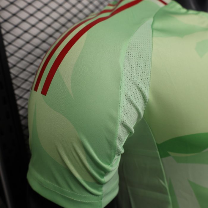 2025 Italy Players Training Jersey - 图片 6