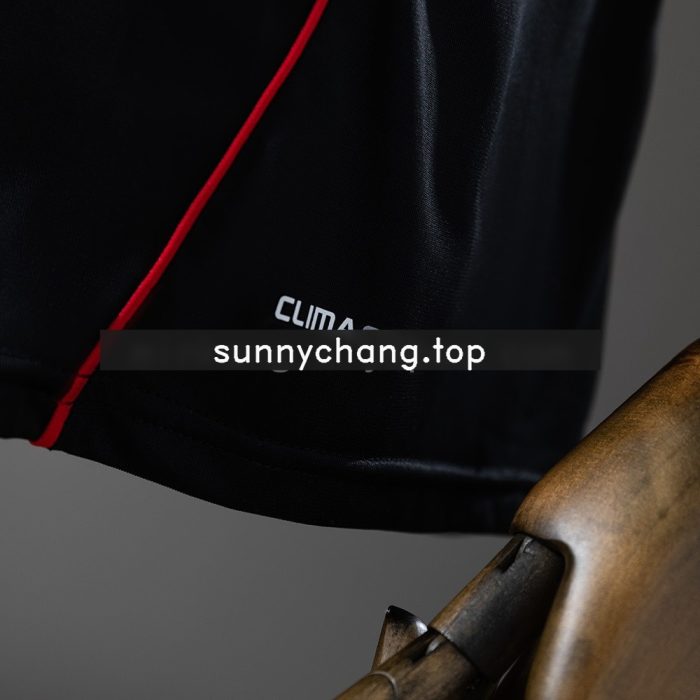 Germany 2010 Away Retro Jersey - 图片 2