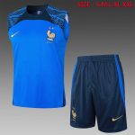 France 23/24 Blue Vest