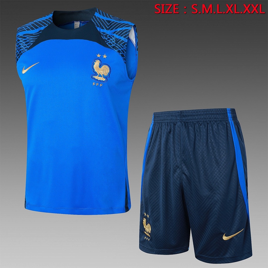 France 23/24 Blue Vest