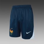 France 24/25 Light Blue Short Sleeve Training Suit - 图片 7