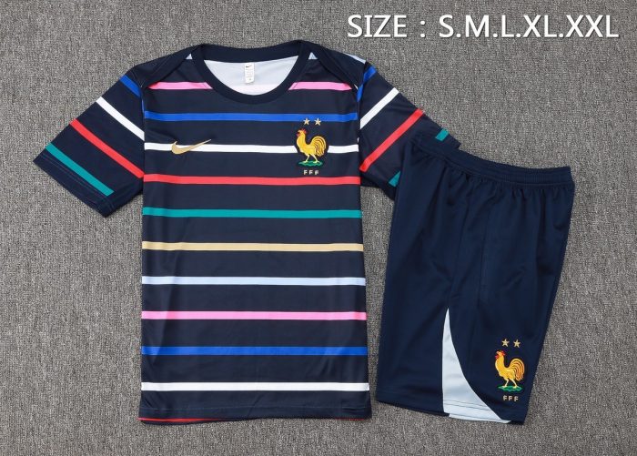 France 24/25 Blue Stripe Short Sleeve Training Shirt - 图片 5