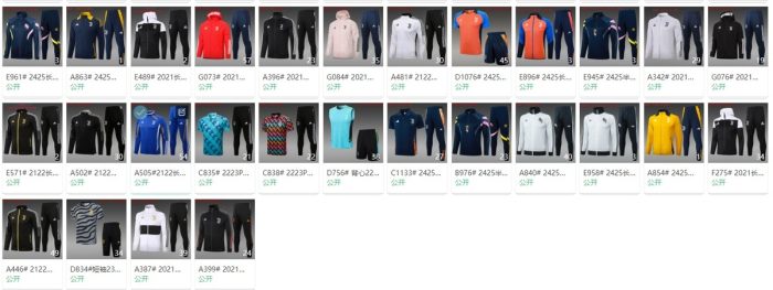 France Vest - 图片 9